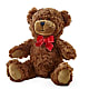 Adorable Plush Bear – Pantelia Floral, Salt Lake City UT