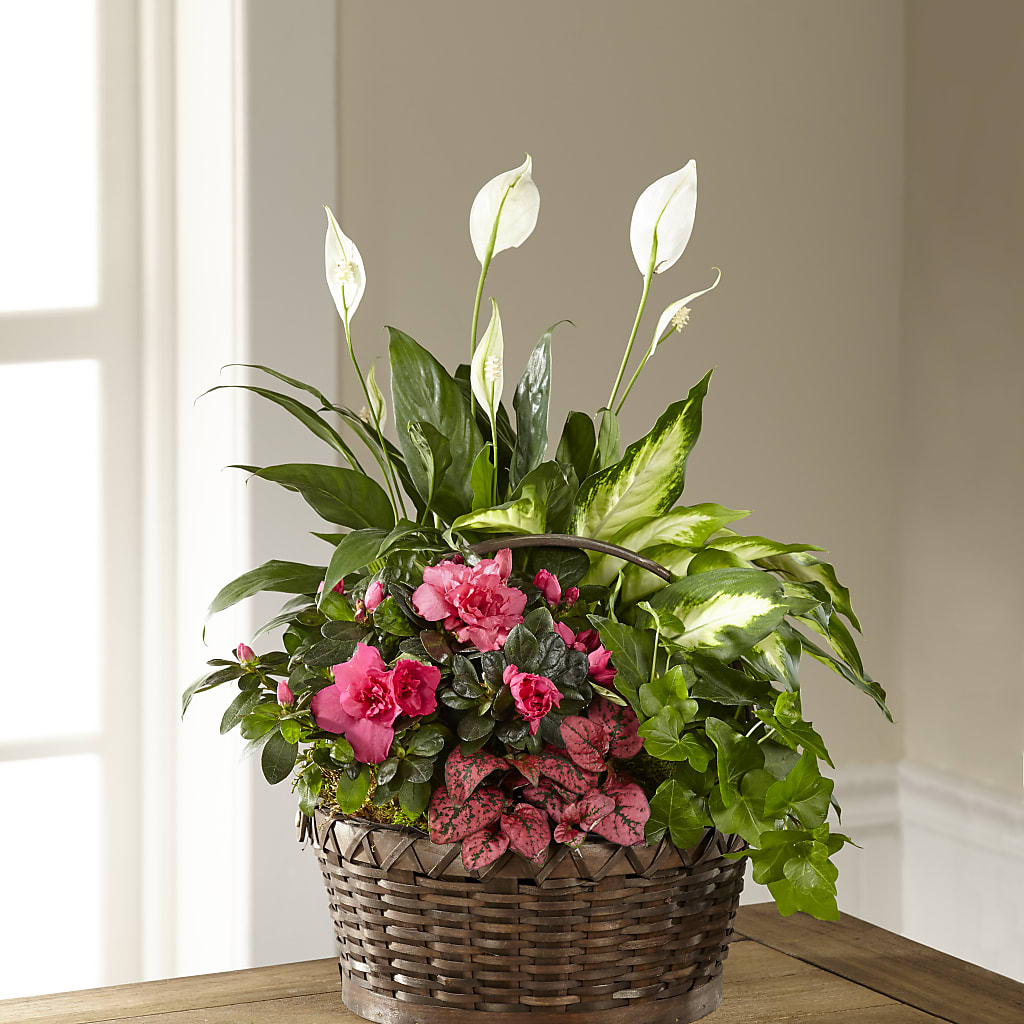 Dream in Pink Dishgarden – Pantelia Floral, Salt Lake City UT