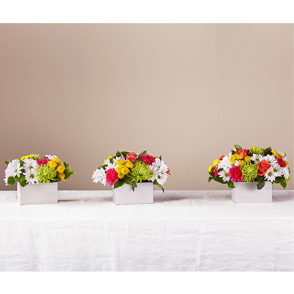 Sorbet Bouquet – Pantelia Floral, Salt Lake City UT
