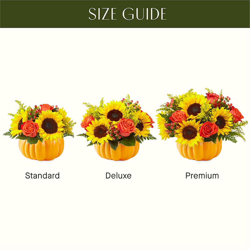 Pick of the Patch Pumpkin Bouquet – Pantelia Floral, Salt Lake City UT