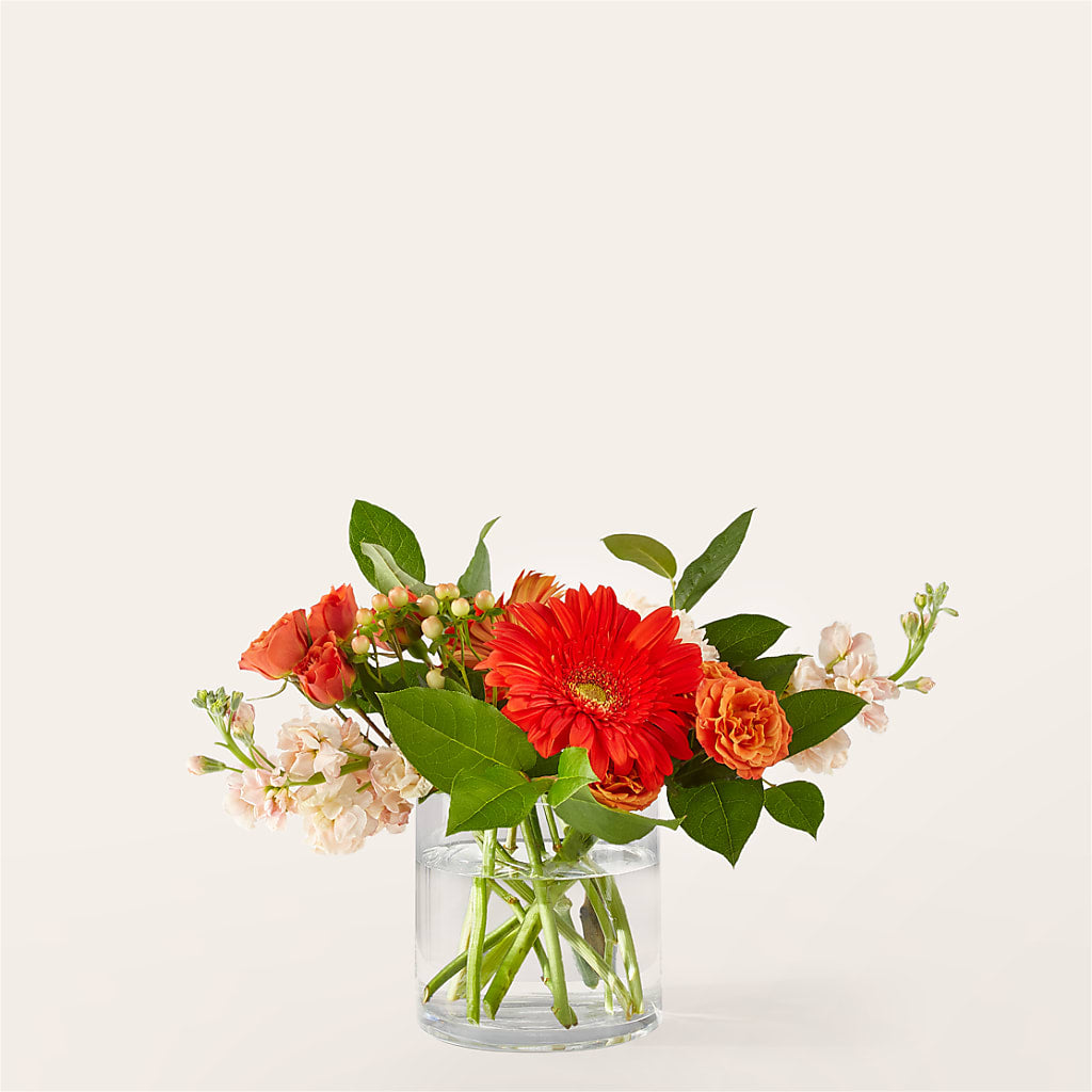 Paloma Please Bouquet – Pantelia Floral, Salt Lake City UT