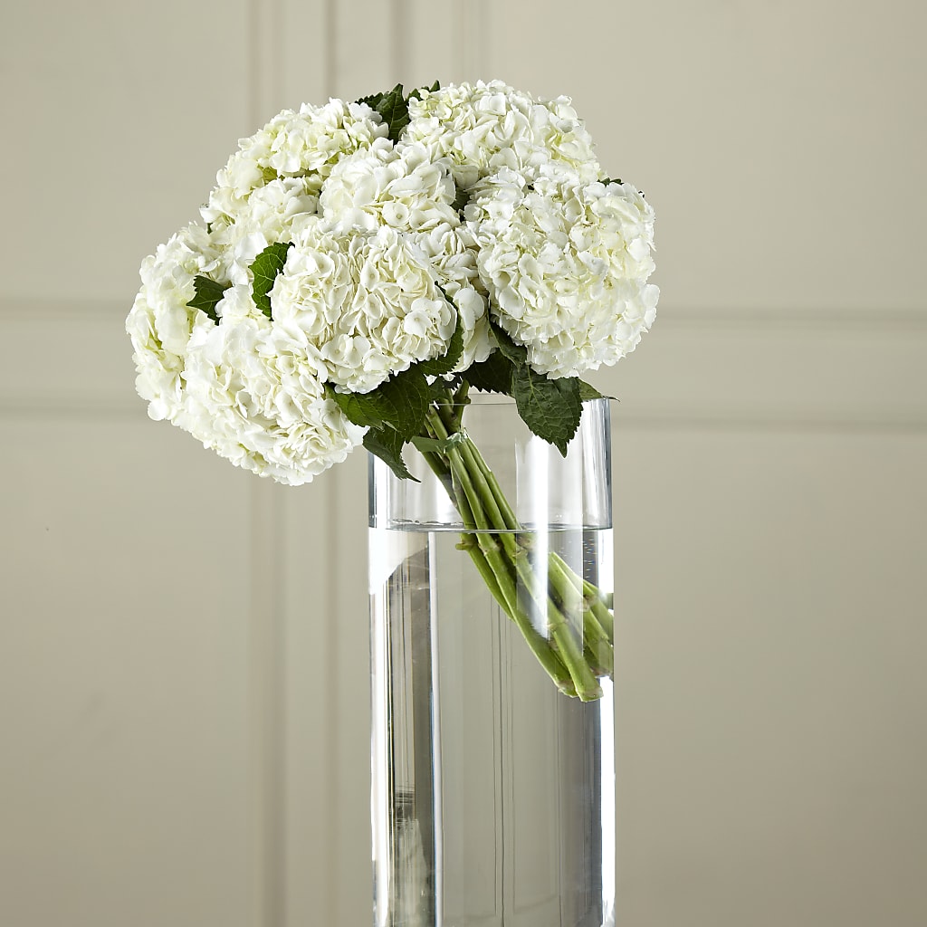 White Hydrangea Hand-Tied Bouquet – Pantelia Floral, Salt Lake City UT