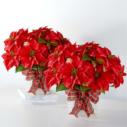 Happiest Holidays Poinsettia Bundle –  Pantelia Floral, Salt Lake City UT