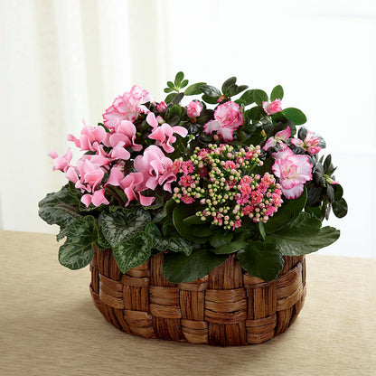 Pink Assortment –  Pantelia Floral, Salt Lake City UT