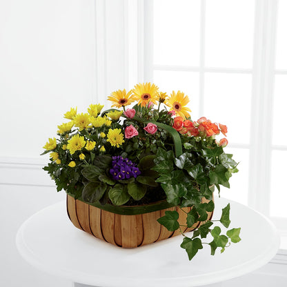Gentle Blossoms Basket –  Pantelia Floral, Salt Lake City UT