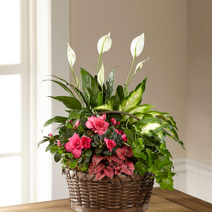 Dream in Pink Dishgarden –  Pantelia Floral, Salt Lake City UT