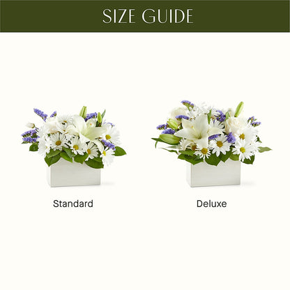 Beyond Blue Box Bouquet –  Pantelia Floral, Salt Lake City UT