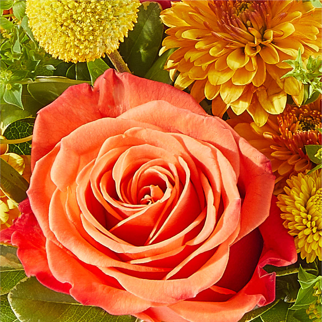 Gourdgeous Pumpkin –  Pantelia Floral, Salt Lake City UT
