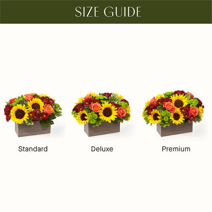 Happy Harvest Garden –  Pantelia Floral, Salt Lake City UT