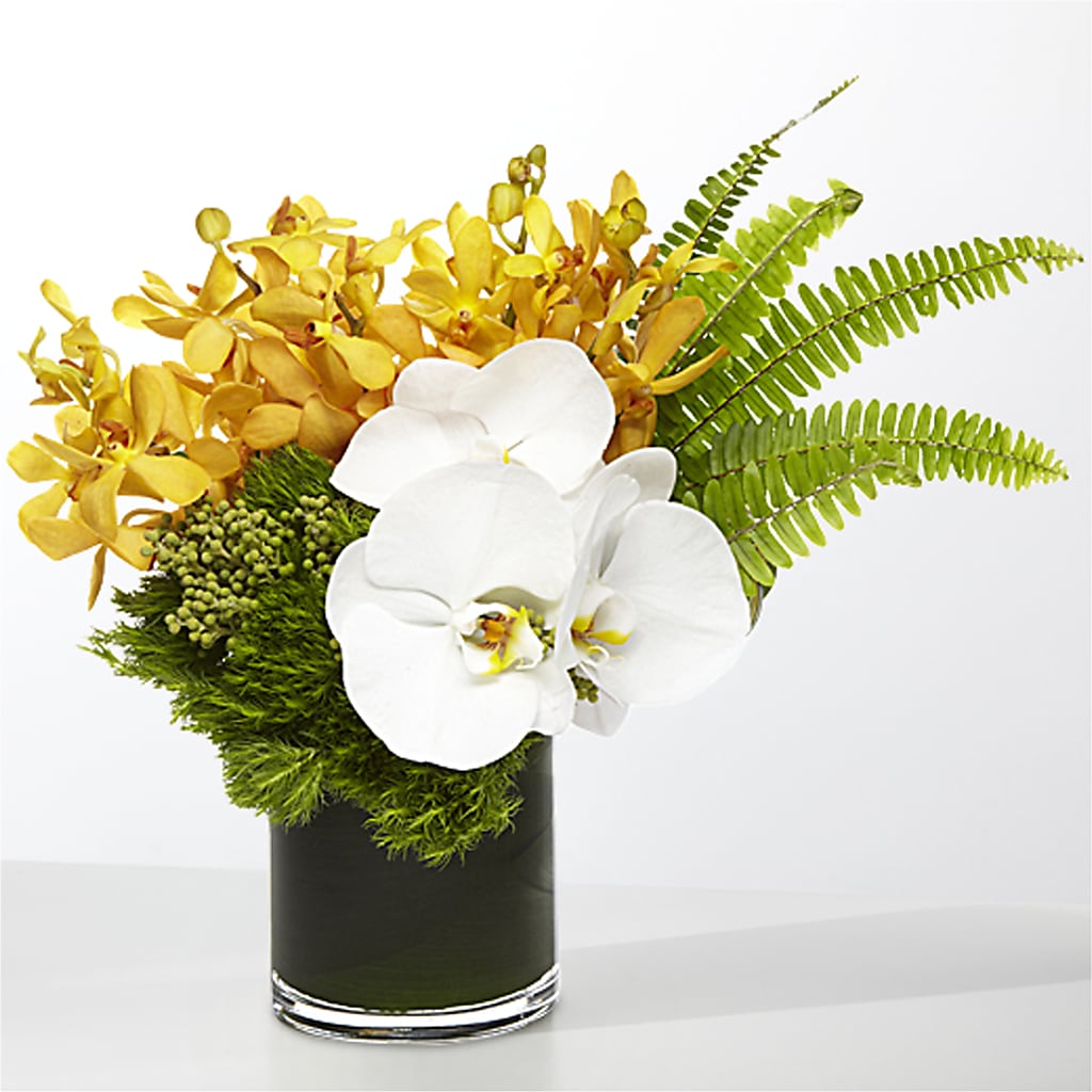 The Tropics –  Pantelia Floral, Salt Lake City UT