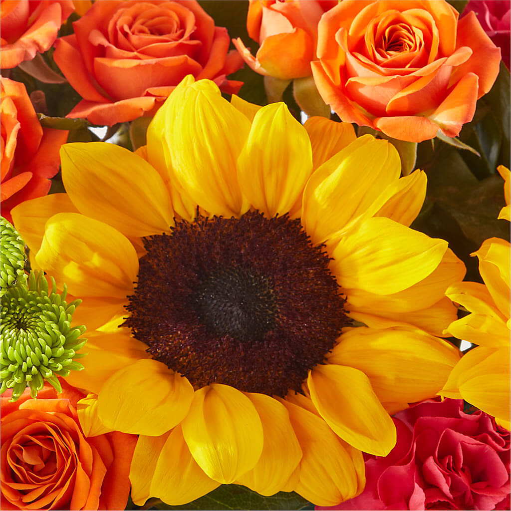 Sun-drenched Blooms Box Bouquet –  Pantelia Floral, Salt Lake City UT