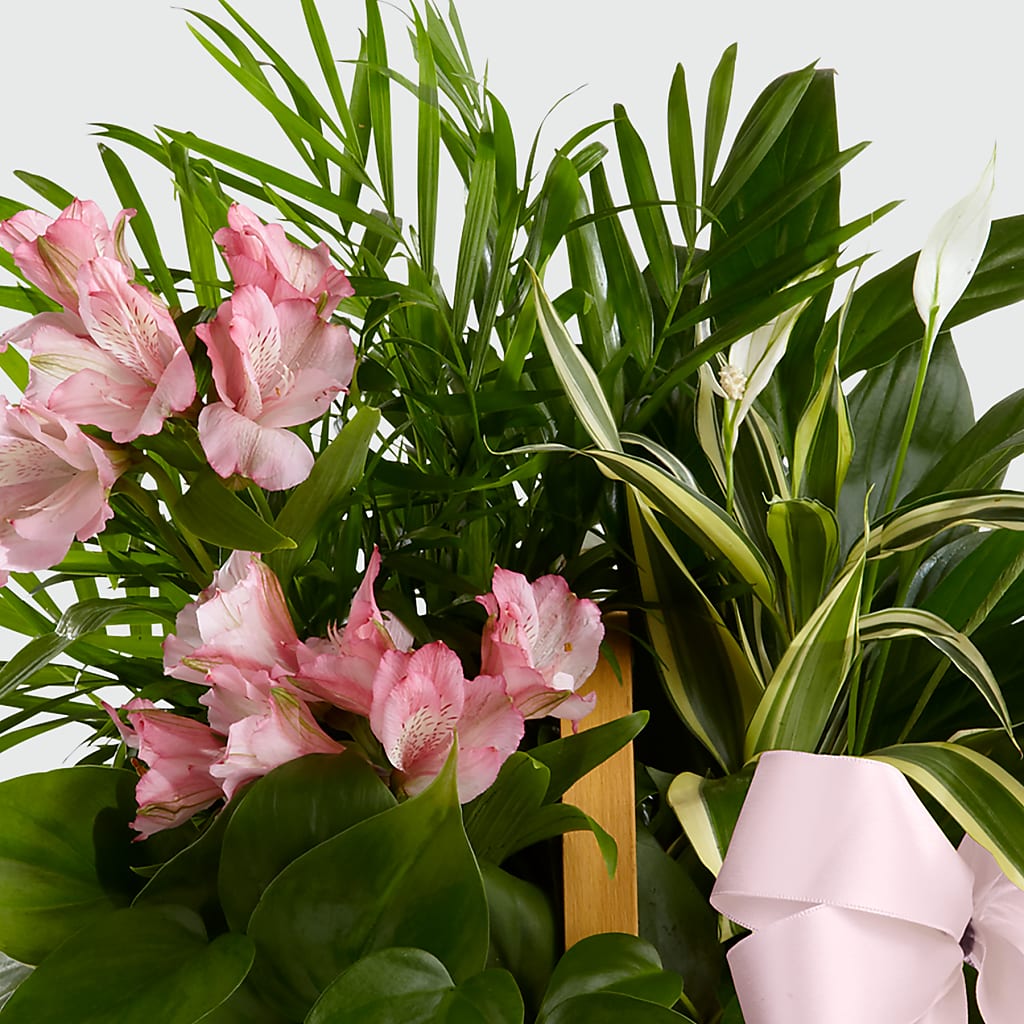 Living Spirit Dishgarden –  Pantelia Floral, Salt Lake City UT