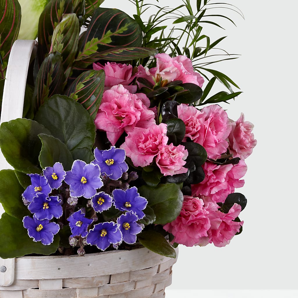 Peaceful Garden Planter –  Pantelia Floral, Salt Lake City UT