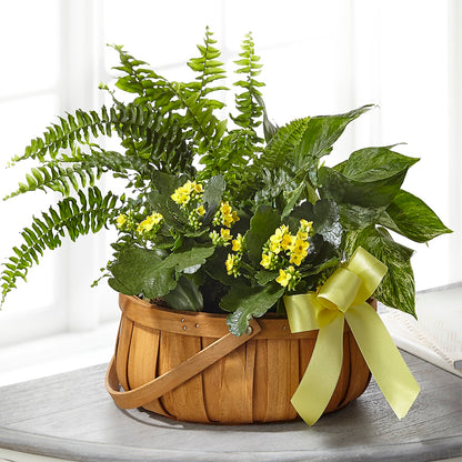 Always Dear Dishgarden –  Pantelia Floral, Salt Lake City UT