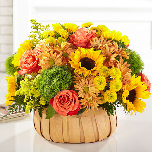 Harvest Sunflower Basket –  Pantelia Floral, Salt Lake City UT