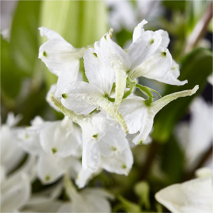 Classic Ivory – A Florist Original –  Pantelia Floral, Salt Lake City UT