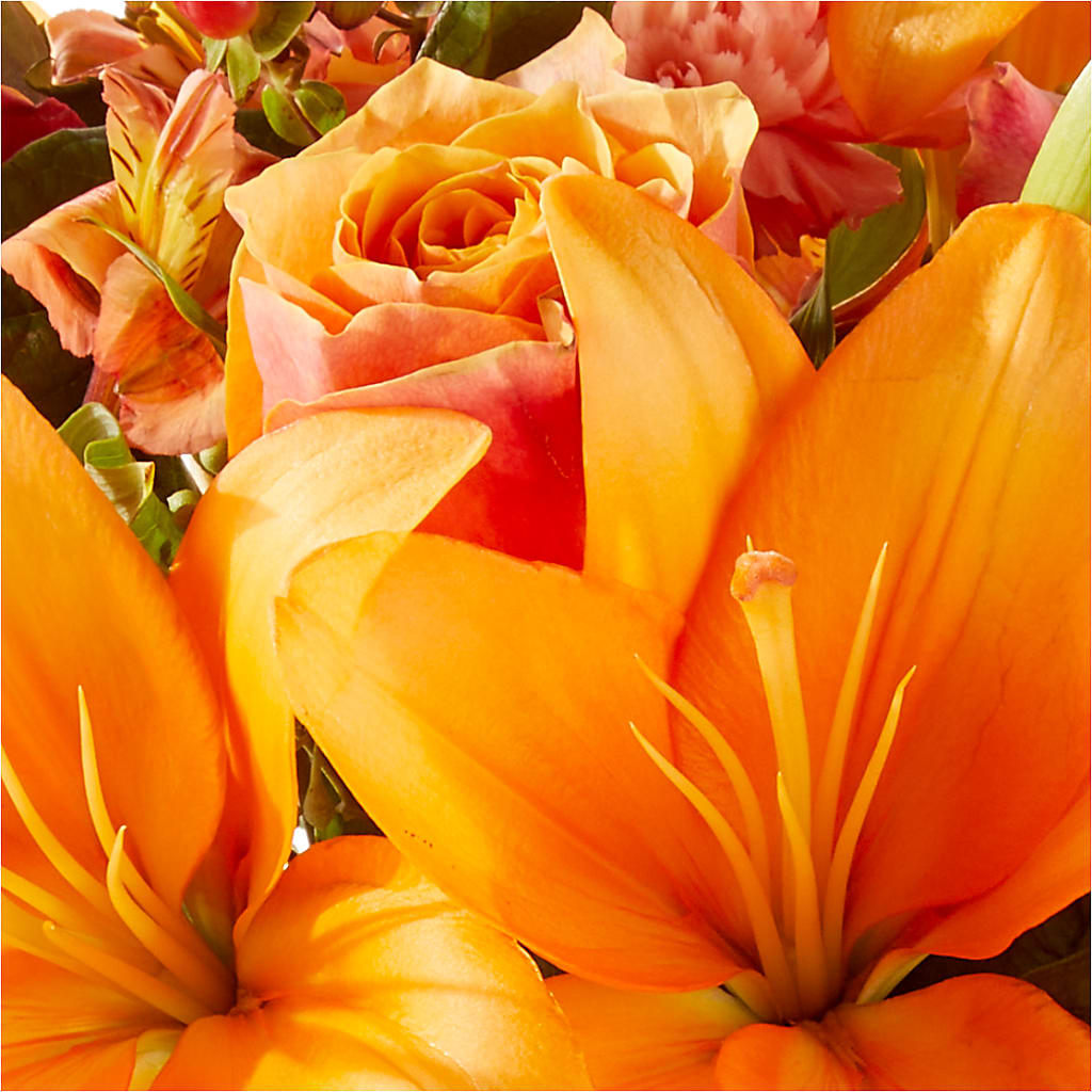 Afternoon Light Bouquet –  Pantelia Floral, Salt Lake City UT