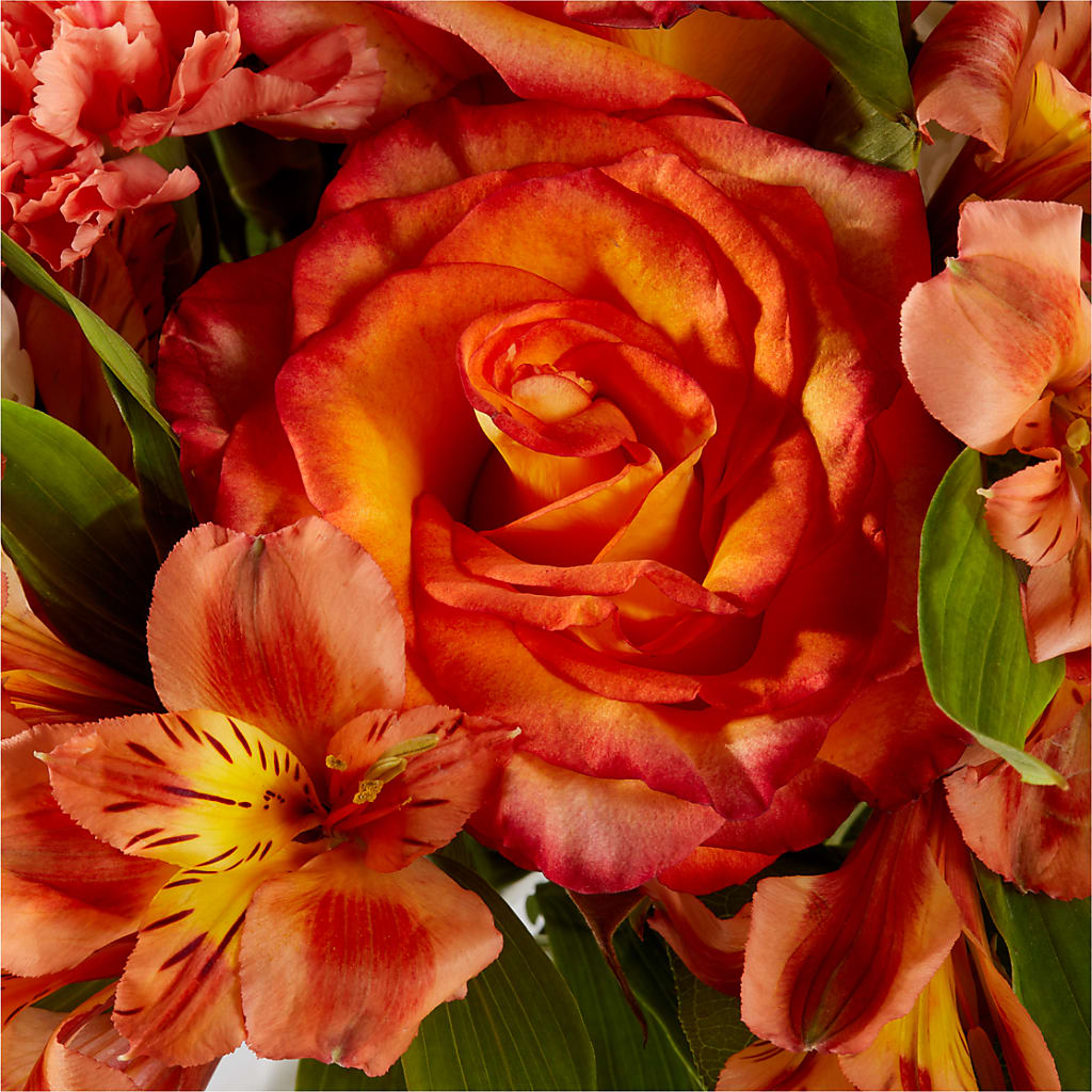 Apricot Glow Bouquet –  Pantelia Floral, Salt Lake City UT
