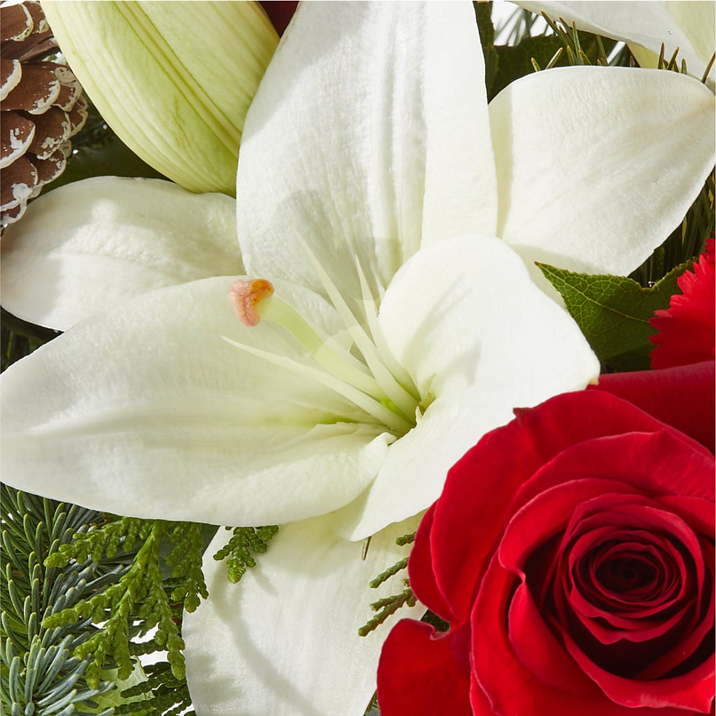 Oh So Jolly Bouquet –  Pantelia Floral, Salt Lake City UT