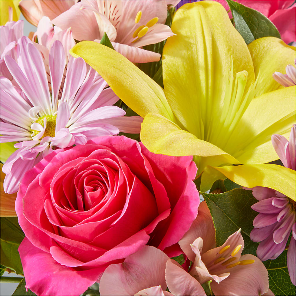 Sprinkles Bouquet –  Pantelia Floral, Salt Lake City UT