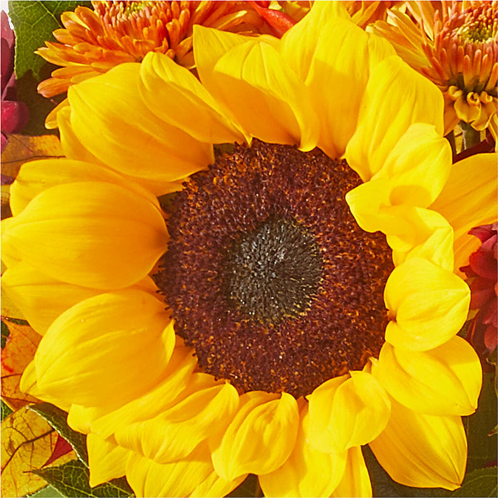 Sunny Side Bouquet –  Pantelia Floral, Salt Lake City UT