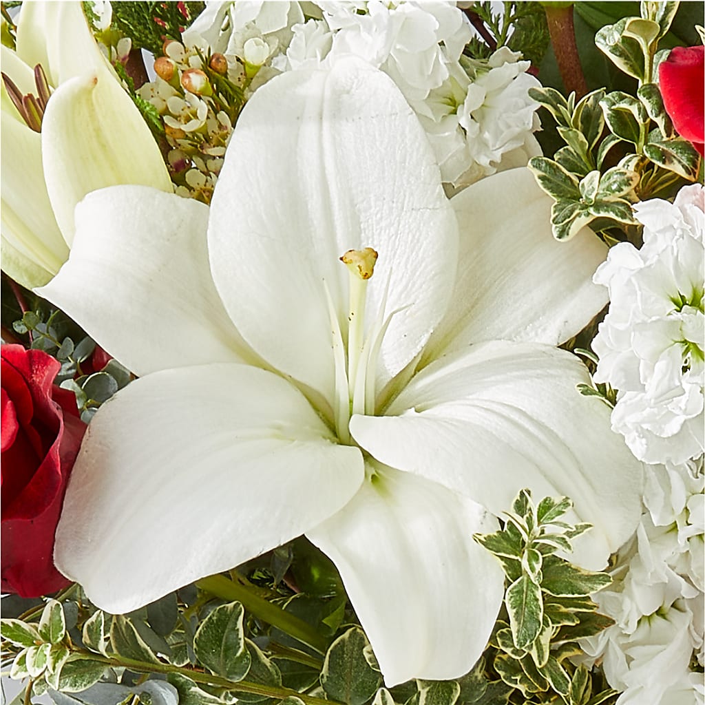 Twinkle Lights Bouquet –  Pantelia Floral, Salt Lake City UT