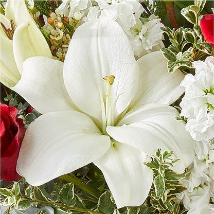 Twinkle Lights Bouquet –  Pantelia Floral, Salt Lake City UT