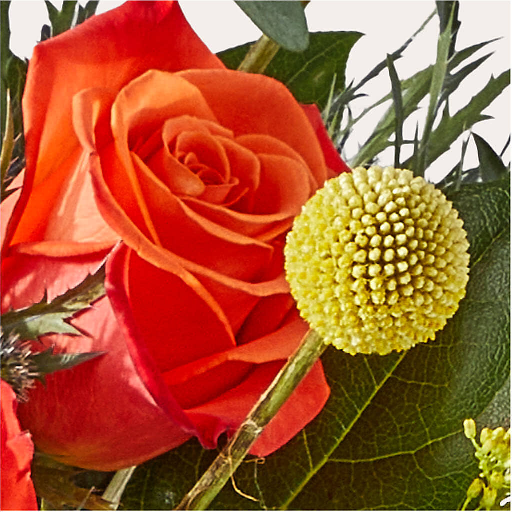 Disco Bouquet –  Pantelia Floral, Salt Lake City UT