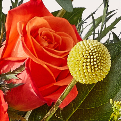 Disco Bouquet –  Pantelia Floral, Salt Lake City UT