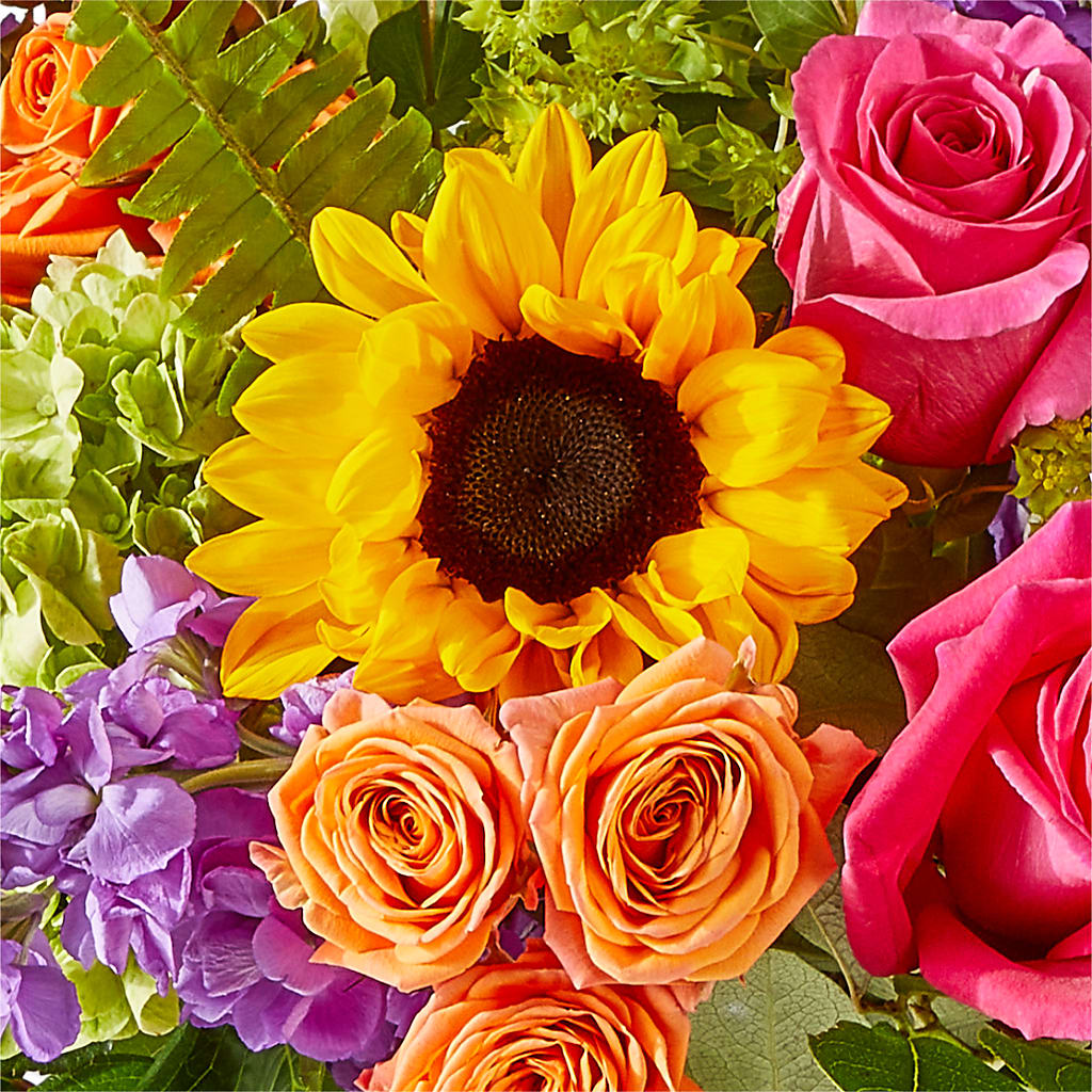 Vibrant Greetings Bouquet –  Pantelia Floral, Salt Lake City UT