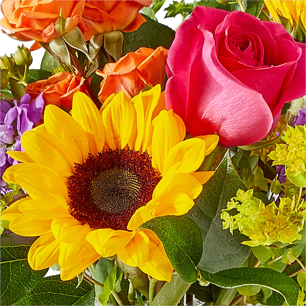 Vibrant Greetings Bouquet –  Pantelia Floral, Salt Lake City UT