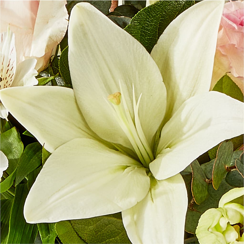 Ballet Slippers Bouquet –  Pantelia Floral, Salt Lake City UT
