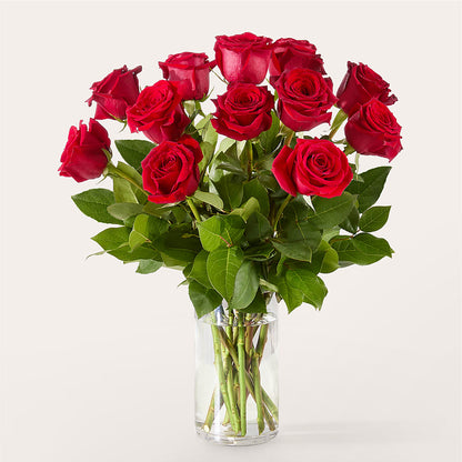 The One Red Rose Bouquet –  Pantelia Floral, Salt Lake City UT