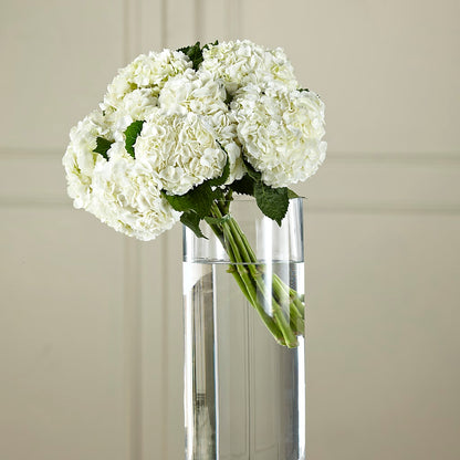 White Hydrangea Hand-Tied Bouquet –  Pantelia Floral, Salt Lake City UT